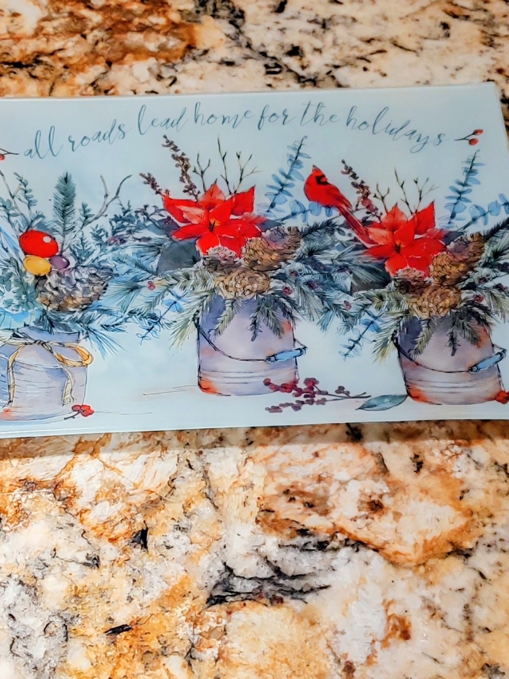 Prima Design HOLIDAY Decorative Tray in Red And BlueGreen.